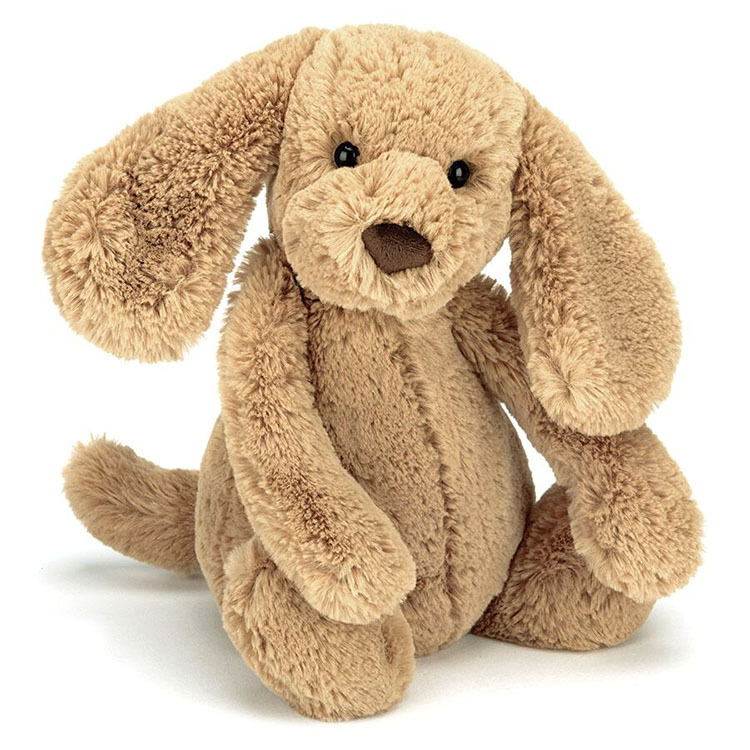 Toffee Puppy